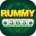 Rummy 365